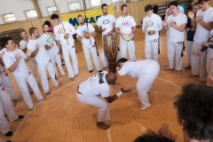 Capoeira 14