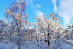 Mikulás 20201204 029