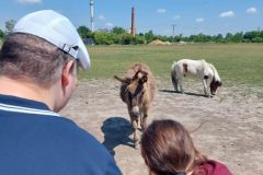 plauter_kuria_2026_031